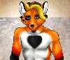 ValBloodfox